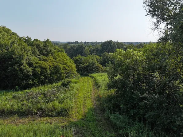 0 E Williamson Ln, Canton, IL 61520