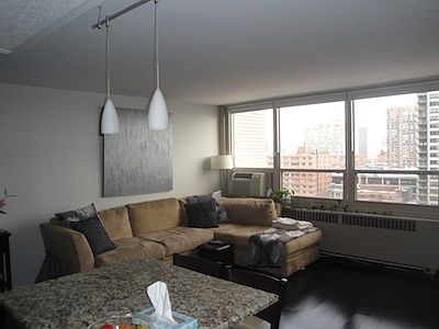 5th image of 3950 N Lake Shore Dr APT 1108