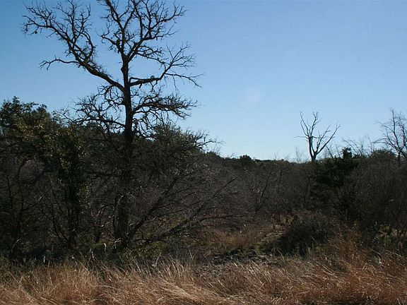 3rd image of K10076 Bald Eagle
