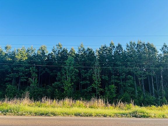 4th image of 3122 State Highway 184