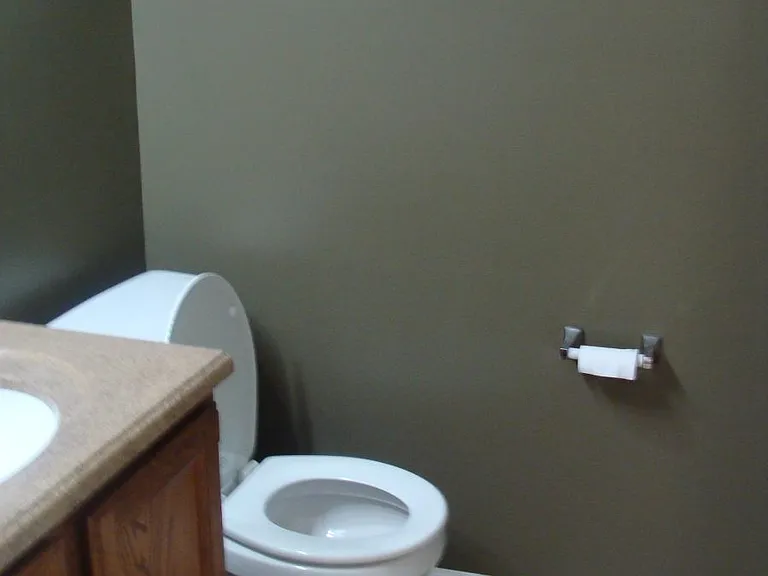 Downstairs Bathroom