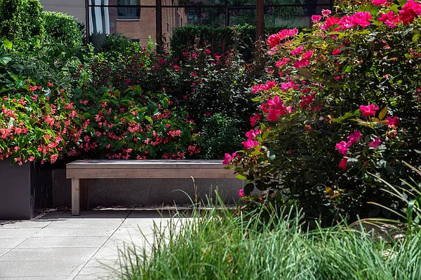 Sold by Douglas Elliman | media 9