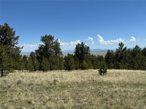 9430 Ranch Road LOT 1109, Hartsel, CO 80449