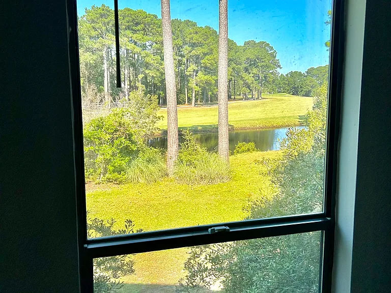 Pond View from Dining Room