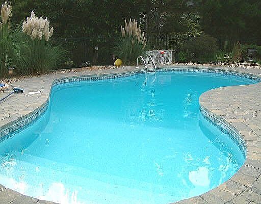 Hourglass In-ground Pool