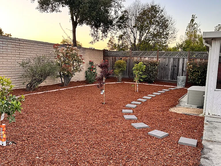 Backyard with fruit trees