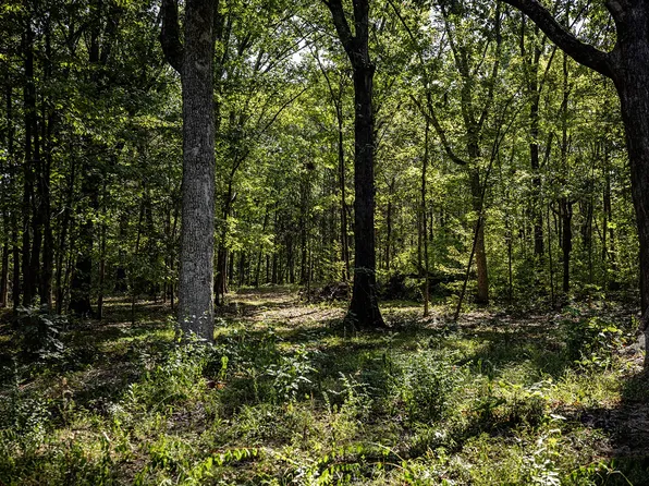 0 Maple Ln, Franklin, TN 37067