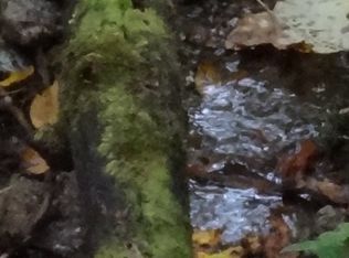 LOT 6 Beech Hollow Dr LOT 6, Otto, NC 28763