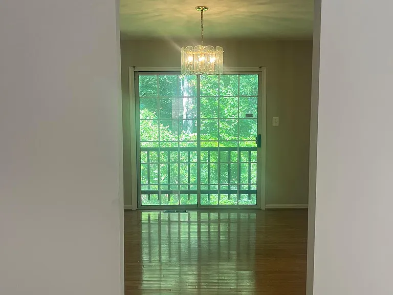 4603 Hidden Pine Ln — Photo 3