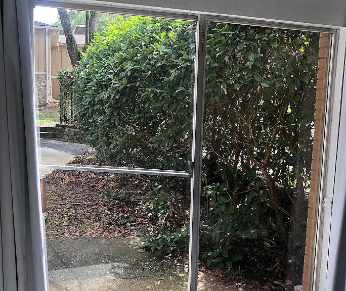 Ensuite garden view.