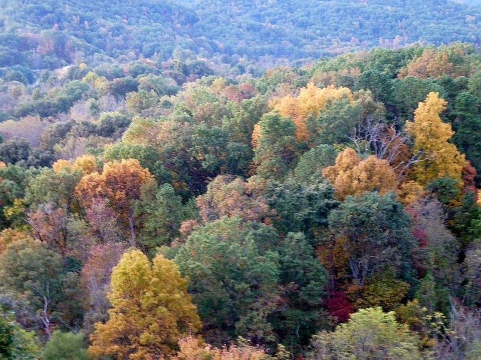 View from deck in fall.