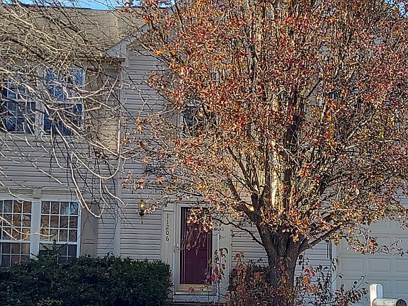 3rd image of 11206 Dewey Ct