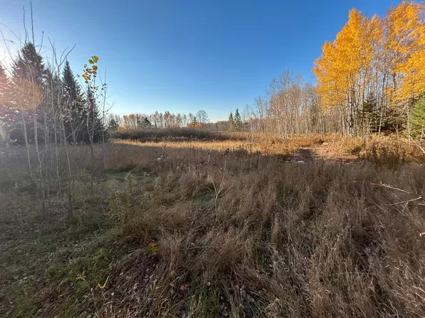 10629 Town Rd #34, Mizpah, MN 56660