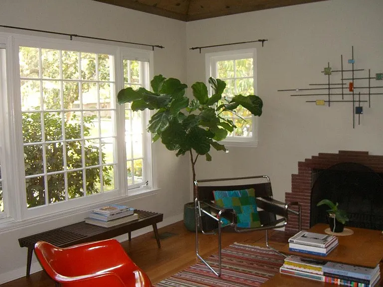 1808 W Mountain St — Photo 3