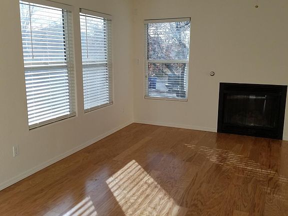 New blinds