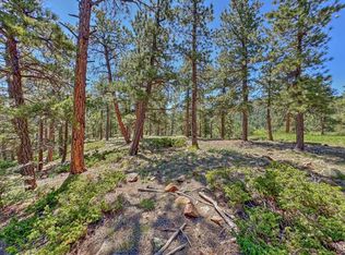 5029 Eagle Springs Rd, Westcliffe, CO 81252