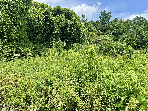 4th image of 0 Davis Hollow Rd
