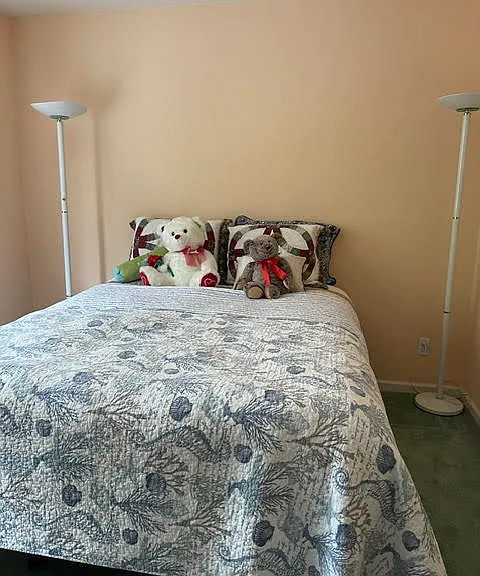561 Paradise Creek Rd — Photo 21
