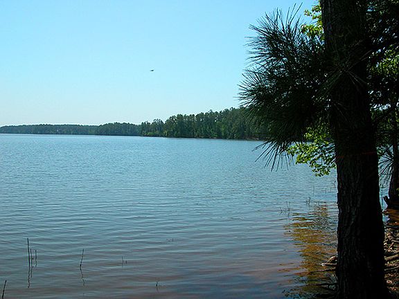 2nd image of Block 1 Shenandoah Lot 35