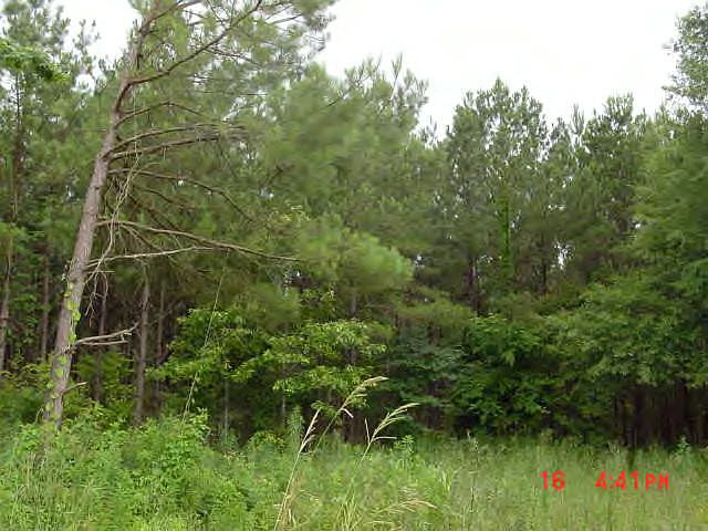 1st image of Highway 569n