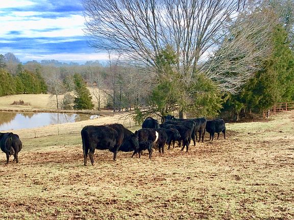 Farm view from house, winter