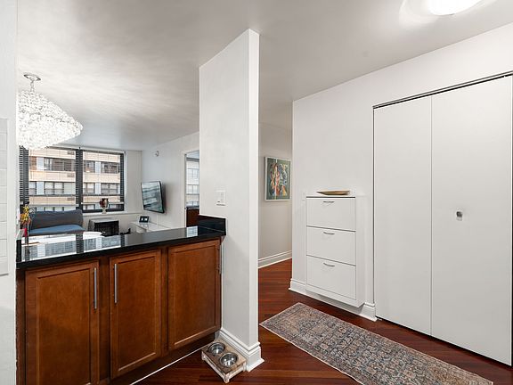 4th image of 222 E Pearson St APT 1005
