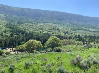 289 Eagles Rest, Cimarron, CO 81220