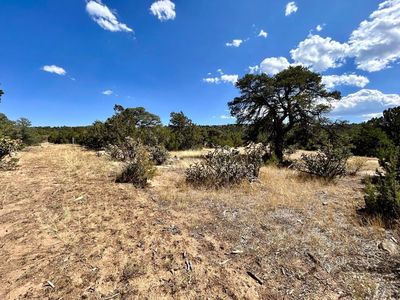 LOT 919 Los Vaqueros Cir, Walsenburg, CO, 81089