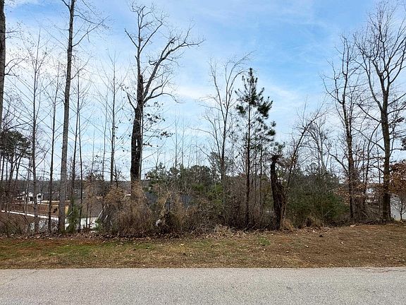 3rd image of LOT 17 Retreat Pointe Rd