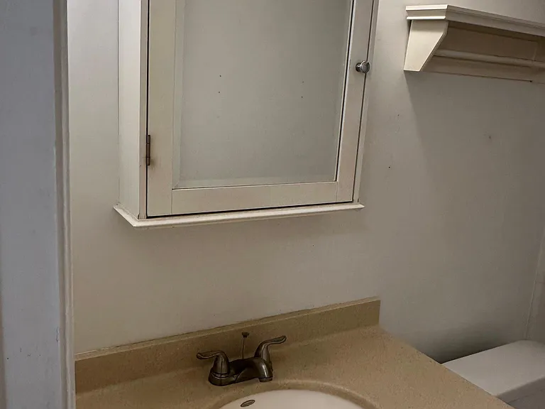 Master bathroom sink & Mirror