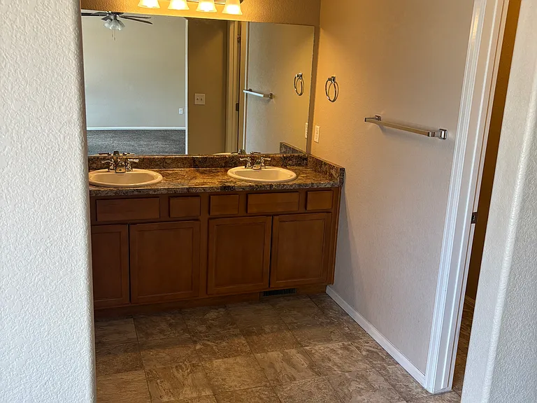 Master Bathroom - Sinks