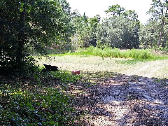 5th image of 203 Downhill Trl