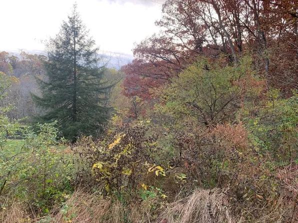 Pierce Rd, Homer City, PA 15748