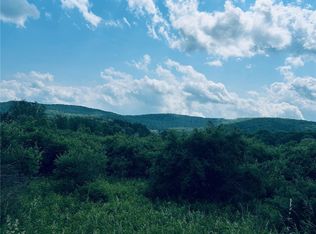 0 Clark Rd #10, Alfred Station, NY 14803