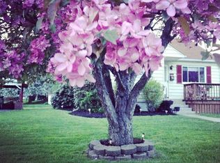 423 Chestnut St, Curwensville, PA 16833