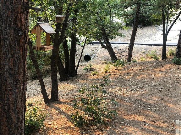 4th image of 32800 Badger Ln