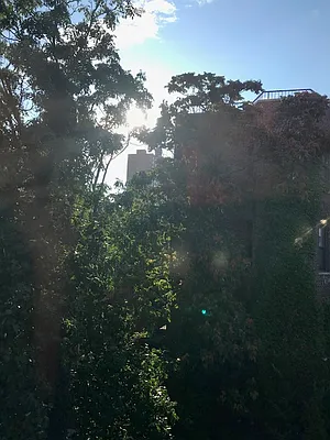 Rented by Beekman Street Realty | media 26