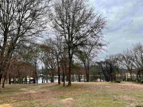 21431 Stevenson Rd, Frankston, TX 75763