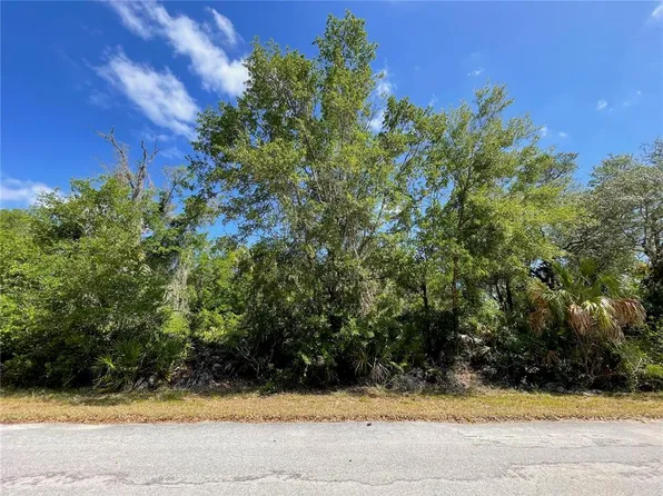 12399 W Baltic Ivy St Lot 800, Crystal River, FL 34428