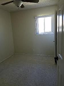Carpet in Bedrooms