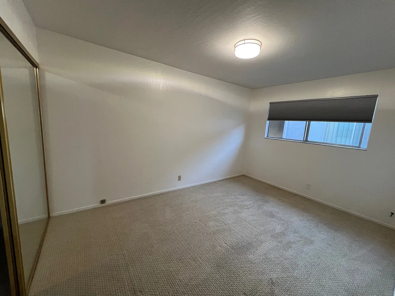 2 bed, 780 sqft, $2,000 — Photo 3