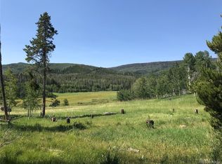 20850 Clydesdale Way, Oak Creek, CO 80467
