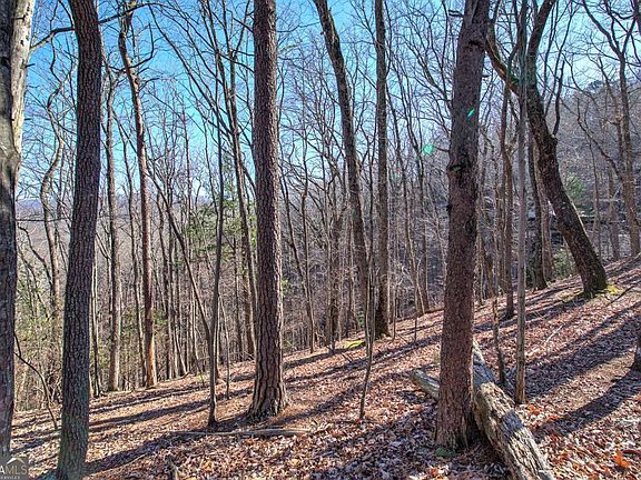 5th image of 0 Walnut Mountain Rd