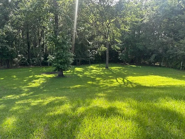 18396 Tall Pines Dr — Photo 3