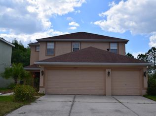 9307 Mandrake Ct, Tampa, FL 33647