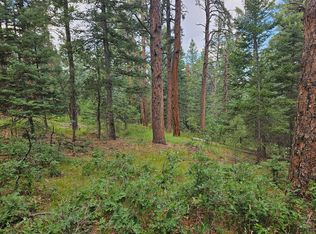 2 Zorn Rd, Rye, CO 81069