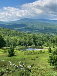 130 Edwards Hill Road, Preston Hollow, NY, 12469