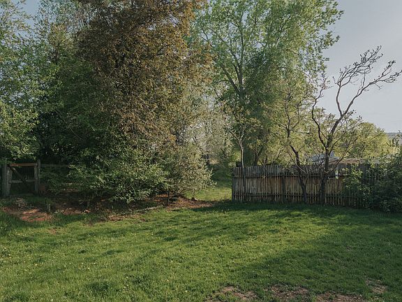 Expansive Backyard