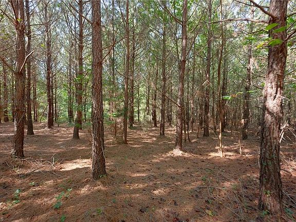 3rd image of 15 Morrison Rd Lot 3