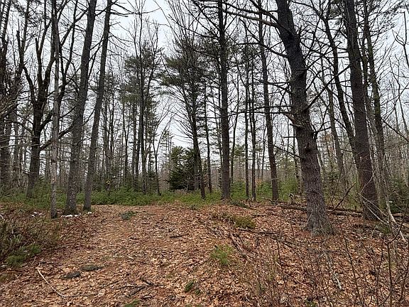 2nd image of 74 Mountain Road